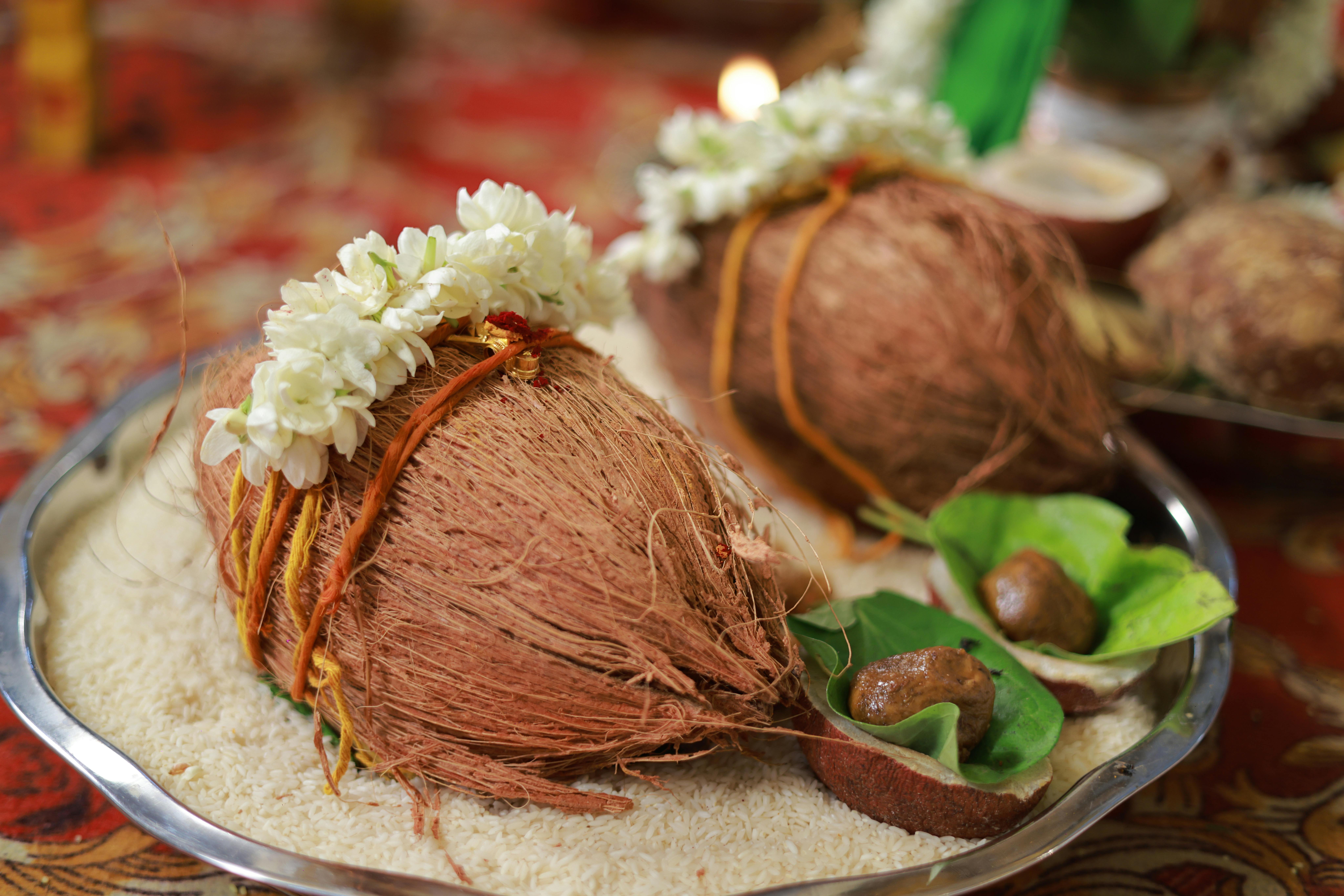 Monsoon Festivals